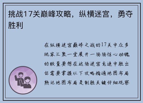挑战17关巅峰攻略，纵横迷宫，勇夺胜利